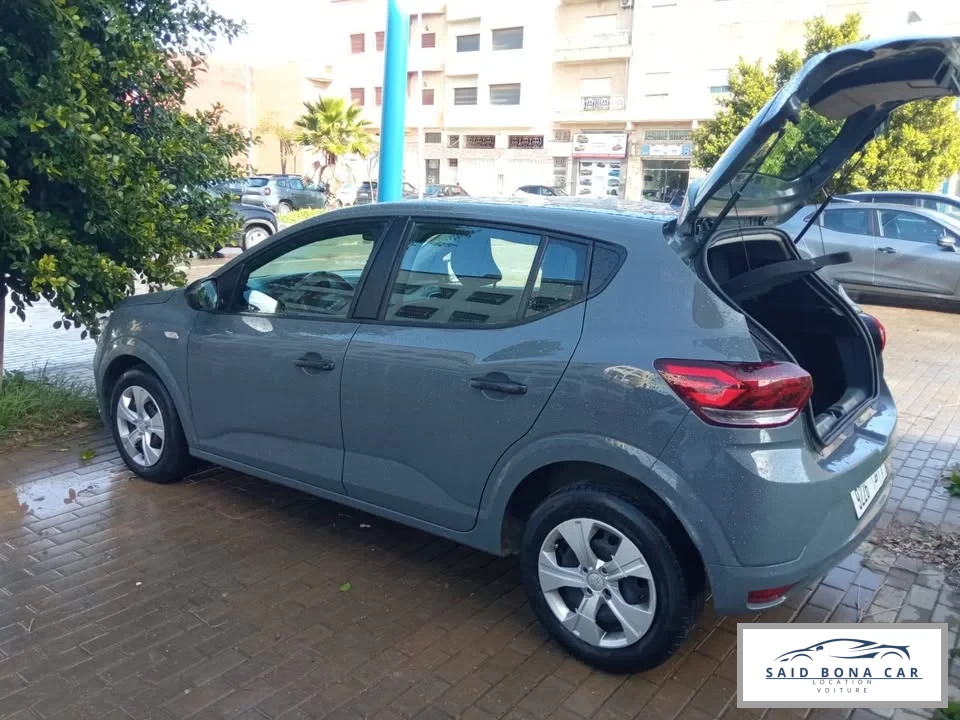 DACIA SANDERO GRISE 2026 - Vue 3 carrosserie et intérieur