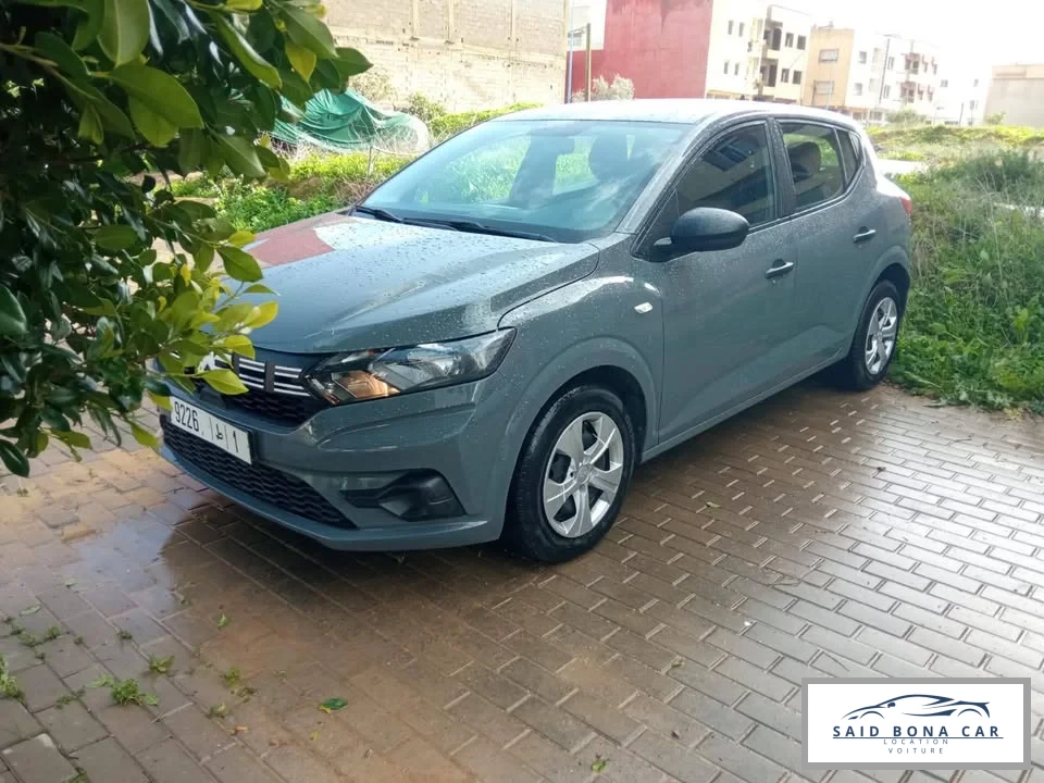 DACIA SANDERO GRISE - Vue 3 carrosserie et intérieur